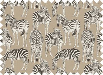 Toile Imprimé Zèbre